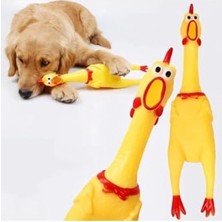 Aesco Öten Çığlık Atan Horoz Tavuk Civciv Köpek Kedi Için Bağıran Sesli Oyuncak L Boy 36 cm