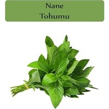 Aesco Nane Tohumu 1 Paket (0,02GR)