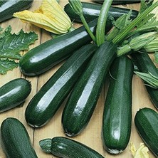 Aesco Agrodal Tarım Ata Tohumu Yerli Esmer Siyah Kabak Tohumu 20 Adet Tohum