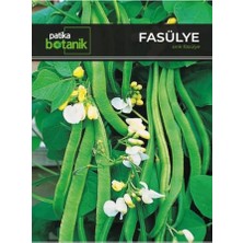 Aesco 40 Adet Yerli Ata Sırık Fasulye Tohumu (Mine)