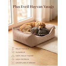 Aesco Plus Silinebilir Kedi Köpek Yatağı, Koltuk Kumaşı, Çıkartılabilir Minder, Bej, Xl