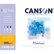 Aesco Pad Canmontv 12S 18X25 300G Suluboya Blokları