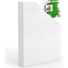 Aesco Profesyonel Tuval 20X20CM