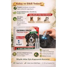 Aesco Köpekler Için Deri Bakım Maxi Derma Drop 5x3 gr 21-40 kg