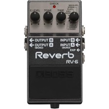 Aesco Rv-6 Digital Reverb