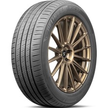 Delinte 225/60R18 100V Dst2 Suv Yaz Lastiği (Üretim TARIHI:2026)