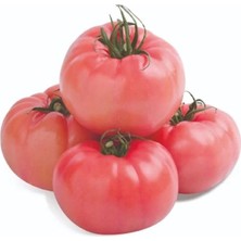 Aesco Domates Pembe (Çoklu Tohum) - 100 Adet