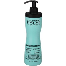 Aesco Colormax Dolce New Series B&tox Kompleks Provitamin B5 Vegan Şampuan 500 ml 1 Adet