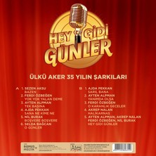 Aesco Ülkü Aker - 35 Yılın Şarkıları - Hey Gidi Günler Plak Lp - Sezen Aksu, Ferdi Özbeğen, Ayten Alpman, Ajda Pekkan, Nil Burak, Selda Bağcan ve Akrep Nalan