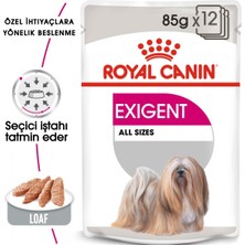 Aesco Royal Canin Ccn Exigent Köpek Yaş Mama, 85 gr