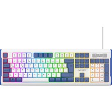 Aesco Everest Kb-74 USB Rainbow Aydınlatmalı Q Membrane Multıemdya Gaming Oyuncu Klavyesi (Beyaz Mavi)