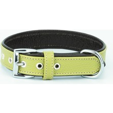 Aesco Canini Collar Hakiki Flotter Deri Köpek Tasması, Çift Katlı Deri, Ultra Dayanıklı Tasma (Yeşil-Kahverengi, L)
