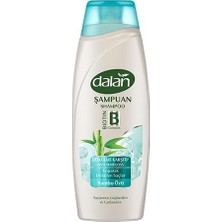 Aesco Dalan Dökülme Karşıtı Şampuanı 450 ml