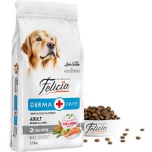 Aesco Felicia Kuru Köpek Maması, Somonlu, Az Tahıllı, Yetişkin, Büyük Irk, Hipoalerjenik, M, 15 kg