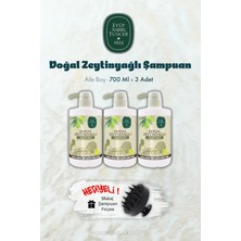Aesco 3 Adet Zeytinyağlı Şampuan 700 ml ve Şampuan Fırçası Hediyeli