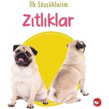 Aesco Ilk Sözcüklerim - Zıtlıklar