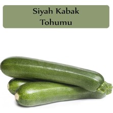 Aesco Zencefil Organik Siyah Kabak Tohumu 1 Paket (10GR=100+ Adet) Kabak Tohumu Siyah
