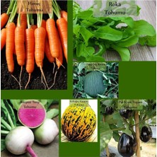 Aesco Zencefil Organik 6 Paket Tohum NO15 Havuç Tohumu Roka Kara Kavun Topan Patlıcan Karpuz Turp Kırkağaç Kavun Tohumu