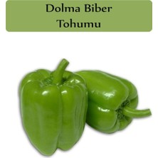 Aesco Zencefil Organik Dolma Biber Tohumu 1 Paket (10GR=1000+ Adet) Kandil Dolma Biberi Tohumu