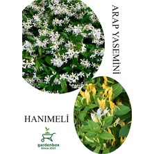 Aesco Gardenbox Arap Yasemini Çiçeği 30-50CM Saksılı + Hanımeli Çiçeği 40-70CM Kokulu Bahçe Seti