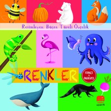 Aesco Renkler