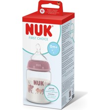 Aesco Nuk First Choice Pp Biberon, 150 Ml, Koala