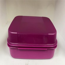 Aesco Tupperware Saklama Kabı F20 Mor