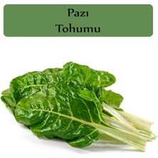 Aesco Zencefil Organik Pazı Tohumu 1 Paket (10GR=1000+ Adet)