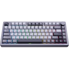 Aesco Philips Evnıa SPK8618 Mekanik Rgb 81 Tuş Usb/bluetooth/2.4g Kablosuz Oyuncu Klavyesi Gri