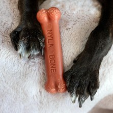 Aesco Nylabone Bacon Bone Dog Chew Regular