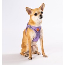 Aesco Pawstar Lila Air-Mesh Göğüs Tasması Kedi Köpek Göğüs Tasması Xlarge