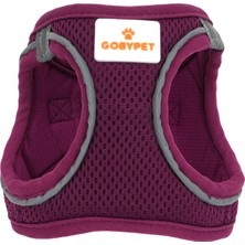 Aesco Gobypet Köpek ve Kedi Göğüs Tasması Xs | Nefes Alabilen File Kumaş | Ayarlanabilir Yelek Tasarım | Yansıtıcı Şeritli | Küçük Irk Köpek ve Kediler Için