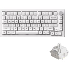 Aesco 5075B Plus Shine-Through Rgb Kablosuz Hotswap Mekanik Gaming Klavye