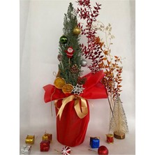 Aesco Elwoodi Yılbaşı Ağacı-Yılbaşı ÇAMI(30-50CM) Hediye Paketli Kozalak ve Portakallar Dahil