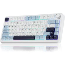 Aesco Aula F75 Mekanik Rgb Tkl Reaper Switch Kablosuz Makrolu Hot Swap Klavye Lacivert