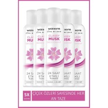 Aesco Watsons Classy Musk 24 Saat Etkili Pudrasız Deodorant Sprey 150 ml X5 Adet