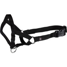 Aesco Trixie Uzman Köpek Eğitim Tasması L 31CM