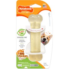 Aesco Nylabone Mc Chew Tavuk Aromalı Köpek Çiğneme Kemiği S