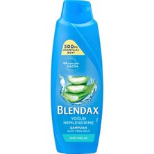 Aesco Blendax Yoğun Nemlendirme Aloe Vera Özlü Şampuan, 500 ml