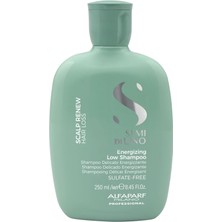 Aesco Alfaparf Milano Semi Di Lino Scalp Renew Energizing Low Shampoo 250ML