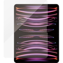 Aesco Panzerglass Apple iPad Air 13 Inç M2 / iPad Pro 13" M4 2024 Için Ekran Koruyucu | Kenardan Kenara Temperli Cam, Düşme ve Çizilmeye Karşı Koruma, Darbeye Dayanıklı, Parmak Izine Dayanıklı, Kolay
