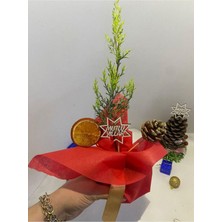 Aesco Nura Botanik Mini Boy Yılbaşı Ağacı Süslemeli, Portakal ve Kozalak Dahil, 15-30 cm