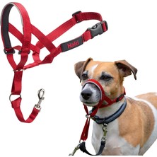 Aesco Company Of Animals Halti Baş Tasması - Dolgulu Burun Bandı, Ayarlanabilir ve Yansıtıcı, Küçük Köpekler Için Profesyonel Çekme Önleyici Eğitim Yardımcısı (Boyut 1, Kırmızı)