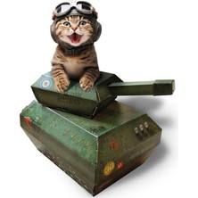 Aesco Suck Uk Kedi Oyun Evi | Yeni Karton Kedi Tankı | Kedi Oyuncağı ve Aksesuar | Düz Paketlenmiş ve Kolay Monte Edilir