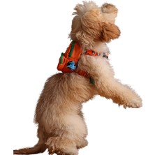 Aesco Pawlook Design, Turuncu, Çantalı Göğüs Tasması, Köpek Sırt Çantası – 2’si 1 Arada Göğüs Tasması Fonksiyonlu, Ayarlanabilir, Küçük & Büyük Irklar Için, Small