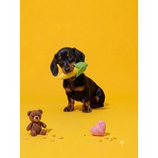 Aesco Köpekler Için Sesli Mısır Koçanı Diş Kaşıma ve Çiğneme Oyuncağı