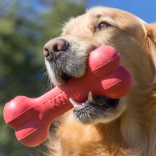 Aesco Kong Goodie Bone – Çiğnemek ve Atıştırmalık Için Sağlam Kauçuktan Köpek Kemiği – Büyük Köpekler Için