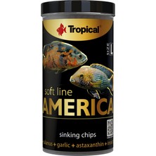 Aesco Tropical Soft Line America Size L 250 ml - 130 gr