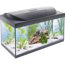 Aesco Tetra Starter Line 54 L Akvaryum Komple Set – Gündüz ve Gece Lambası LED Aydınlatma, Iç Filtre, Isıtıcı, Balık Yemi ve Su Hazırlama Cihazı Dahil