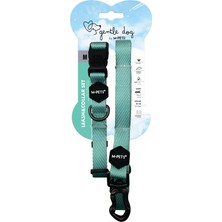 Aesco M-Pets Gentle Dog Boyun Tasması ve Gezdirme Set (M) Yeşil